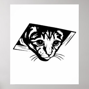 Póster Gato de teto