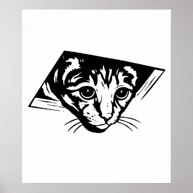 Póster Gato de teto (Frente)