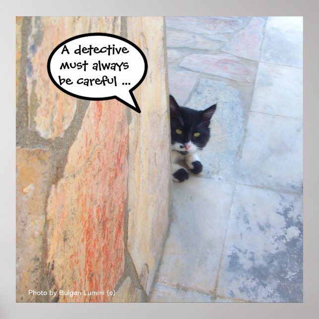 Póster GATO DETETIVE ATRÁS DA PAREDE DE PEDRA / Dia dos P (Frente)