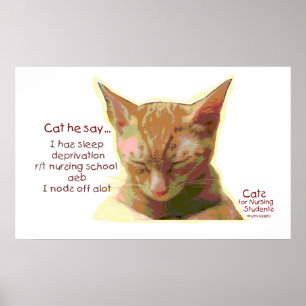 Póster Gato diz - a privação do sono da escola de