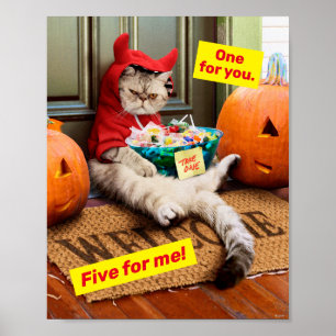 Poster Gato do Diabo Cranky