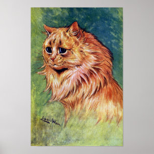 Póster Gato do doce de fruta com olhos azuis