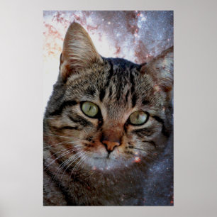 Poster Gato do Espaço