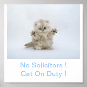 Poster Gato do gatinho nenhum sinal dos procuradores