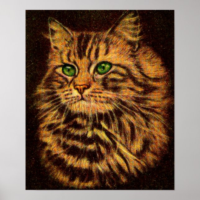 Poster gato-do-mato-grande (Frente)