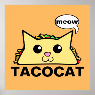 Póster Gato do Taco
