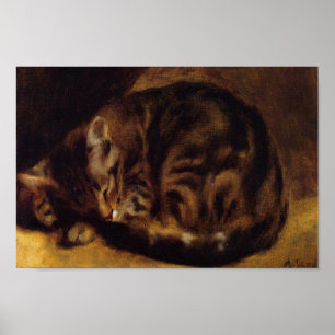 Póster Gato dormindo por Renoir