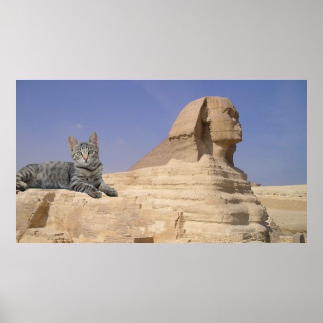 Poster Gato e Esfinge. (Frente)