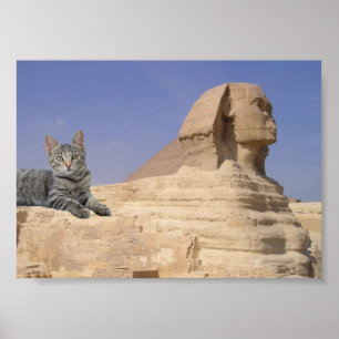 Poster Gato e Esfinge.