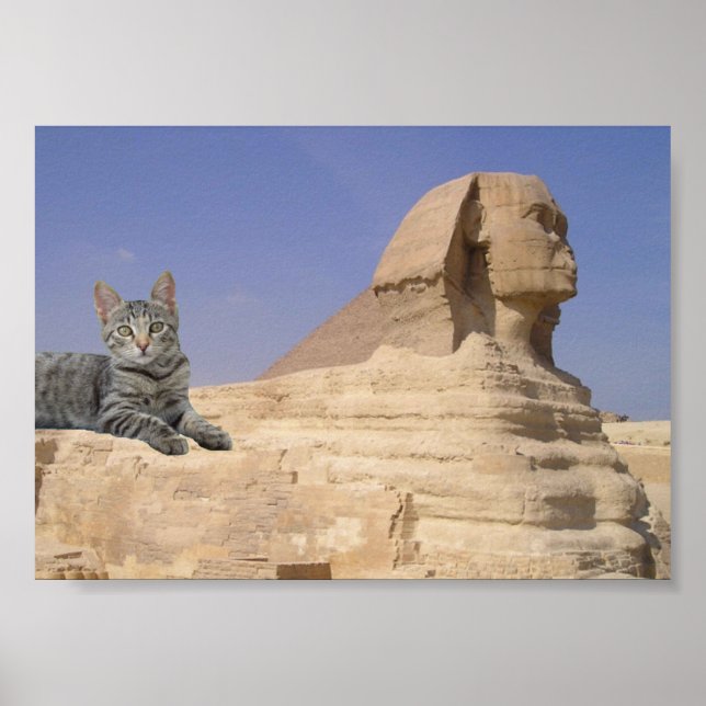 Poster Gato e Esfinge. (Frente)