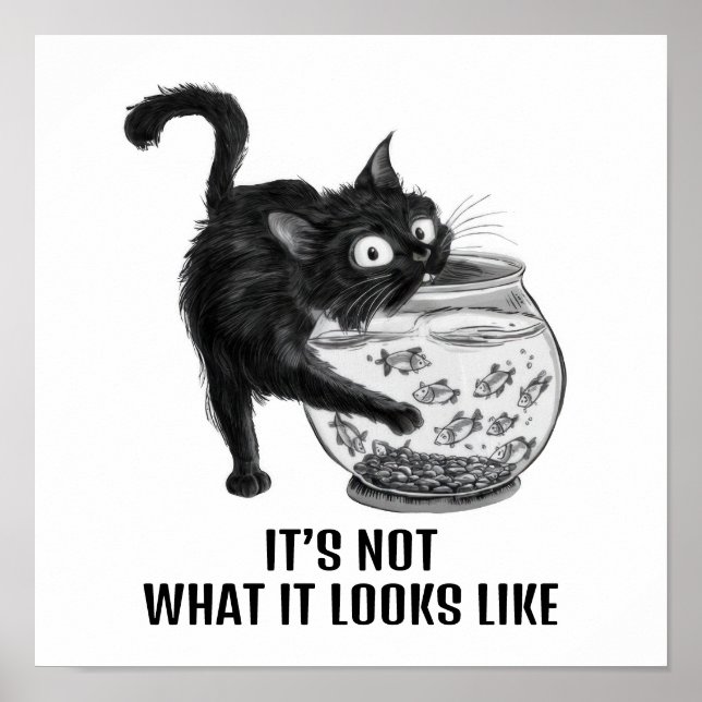 Poster Gato e Peixe (Frente)