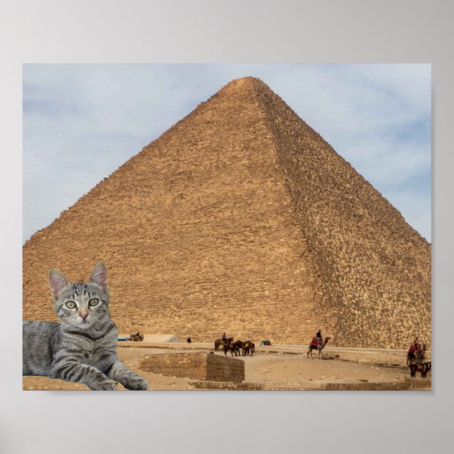 Poster Gato e Pirâmide. (Frente)