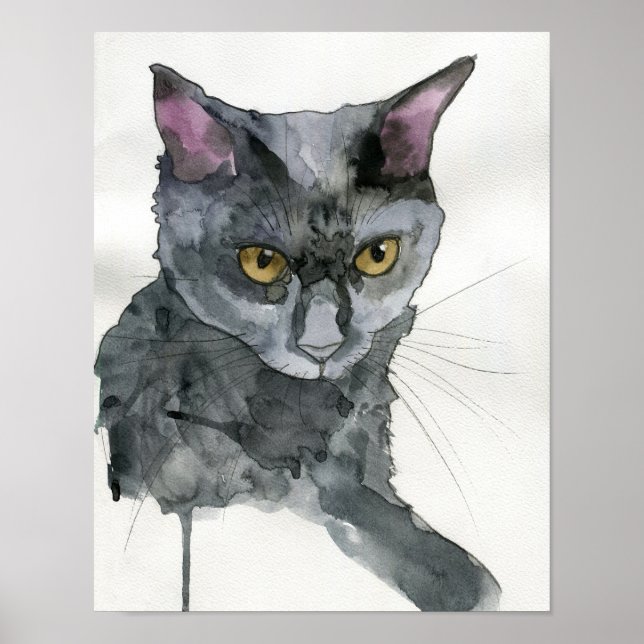 Poster Gato em Aquarela (Frente)