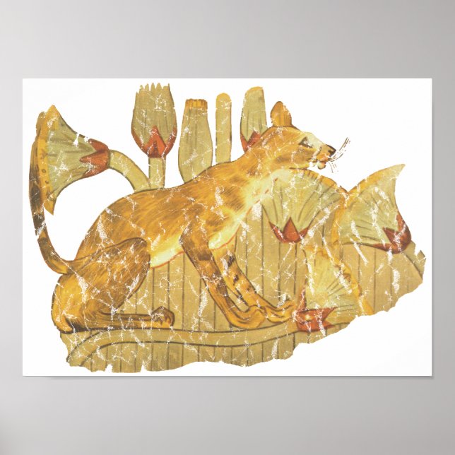 Póster gato em pântano (Frente)