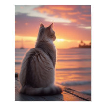 Gato em um Pier com um Pôr do Sol e Panorama Oceân