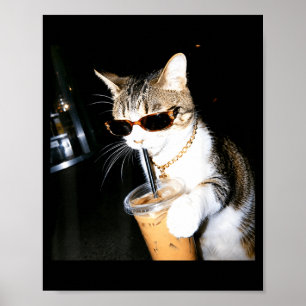 Poster Gato Engraçado Bebendo Café Gelado Humor Meme Gati