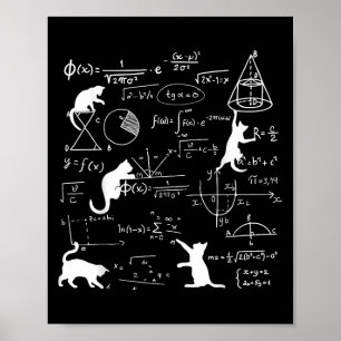Poster Gato Engraçado Brincando Com Fórmulas De Matemátic