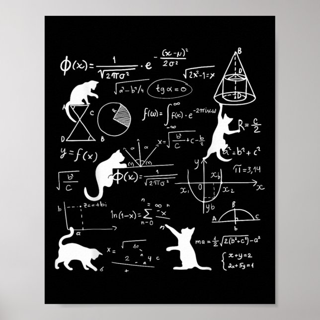 Poster Gato Engraçado Brincando Com Fórmulas De Matemátic (Frente)