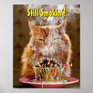 Poster Gato Engraçado Com Cupcake De Aniversário Derret