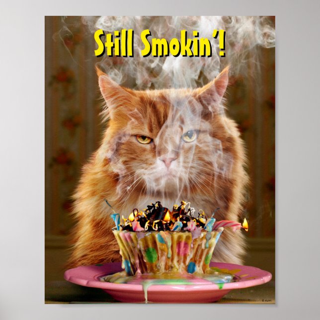 Poster Gato Engraçado Com Cupcake De Aniversário Derretid (Frente)