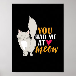 Poster Gato Engraçado E Amor De Gatinho Que Você Me Tinha