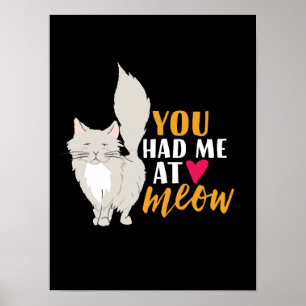 Poster Gato Engraçado E Amor De Gatinho Que Você Me Tinha