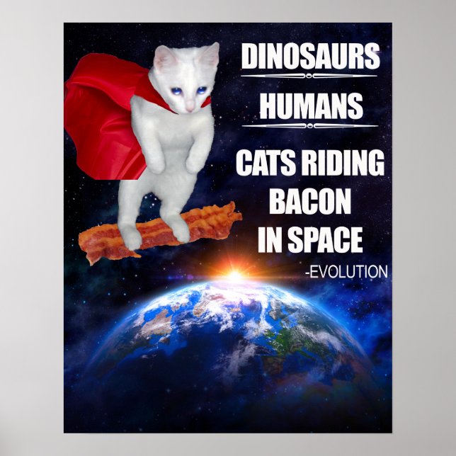 Póster Gato Engraçado: Evolução (Frente)