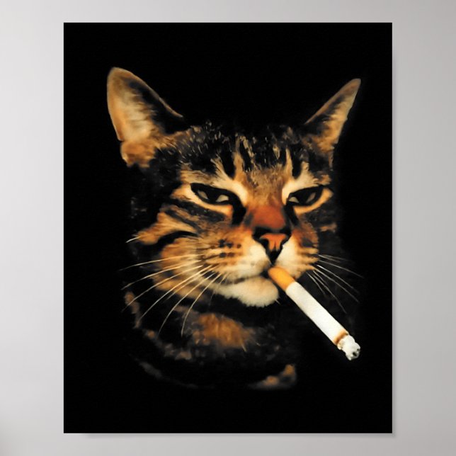 Poster Gato Engraçado Fumando Cigarro Meme de Gatinho Idi (Frente)