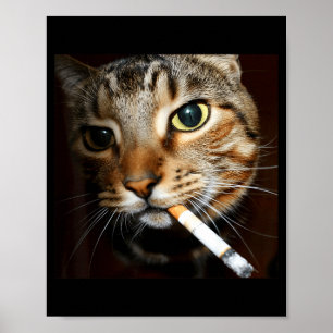 Poster Gato engraçado fumando meme humor negro gato sarcá