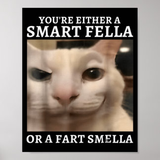 Poster Gato Engraçado Inteligente ou Cheirador de Flatulê