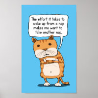 Gato Engraçado Precisa Sair Depois Do Sapo