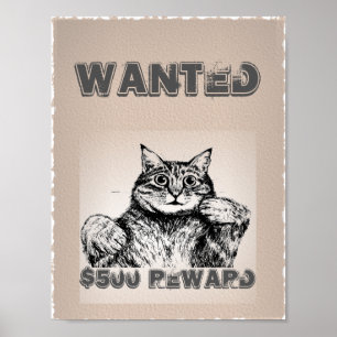 Poster Gato Engraçado Queria