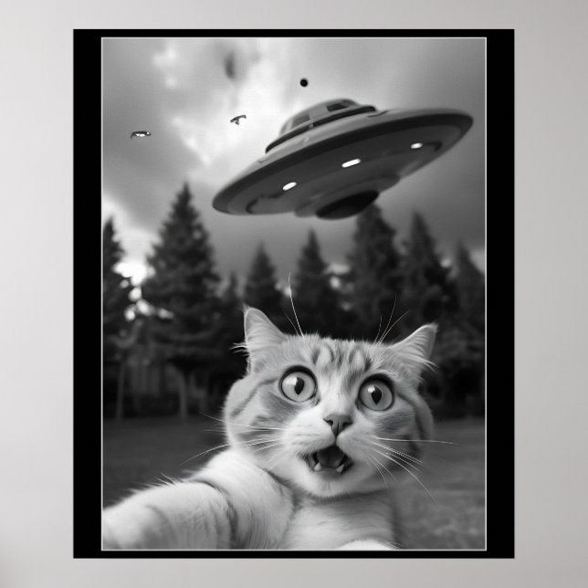 Poster Gato Engraçado Selfie com Drones Alienígenas OVNI (Frente)