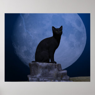 Poster Gato enluarada