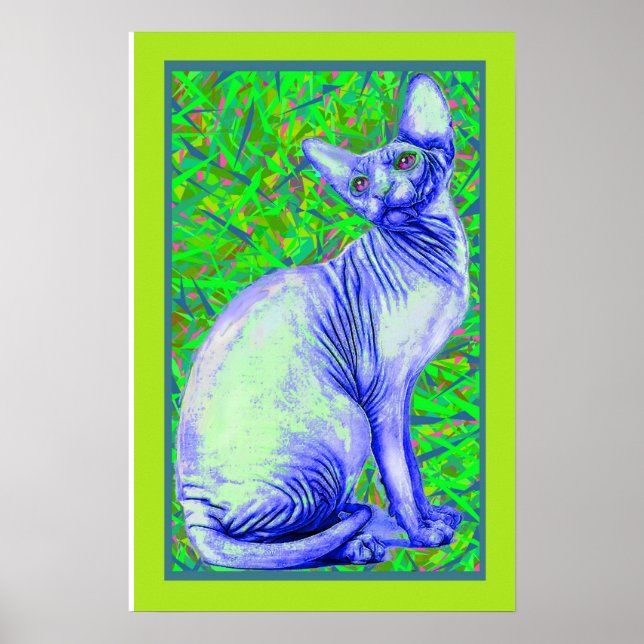 Póster gato esphynx (Frente)