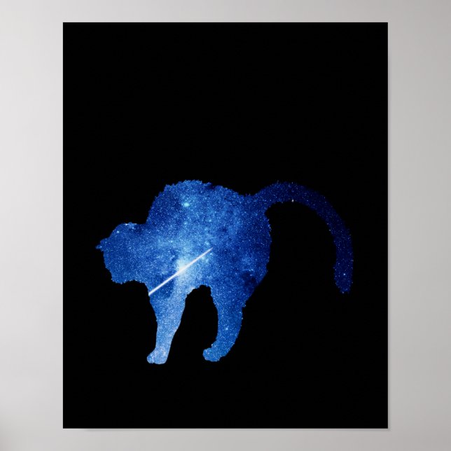 Poster Gato estrelado de tiro azul (Frente)