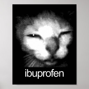 Poster Gato Feio Retro Meme Divertido de Ibuprofeno para