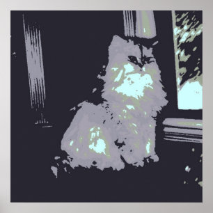 Poster Gato Gatinho de Cinza de cabelos longos