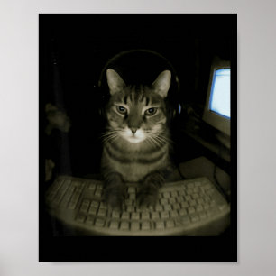 Poster Gato Hacker Meme Engraçado Gato Computador Gatinho