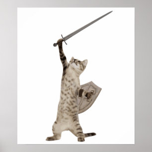 Poster Gato heróico do cavaleiro do guerreiro