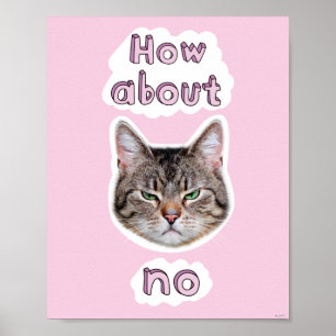 Poster Gato irritado