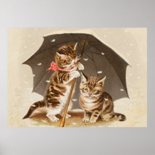 Poster Gato Kitten gatinho antigo vintage bonito