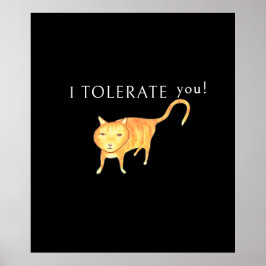 Poster Gato Laranja Apático Tolerante