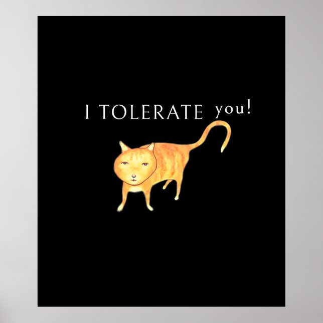 Poster Gato Laranja Apático Tolerante (Frente)