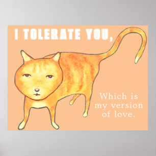 Poster Gato Laranja Apático Tolerante