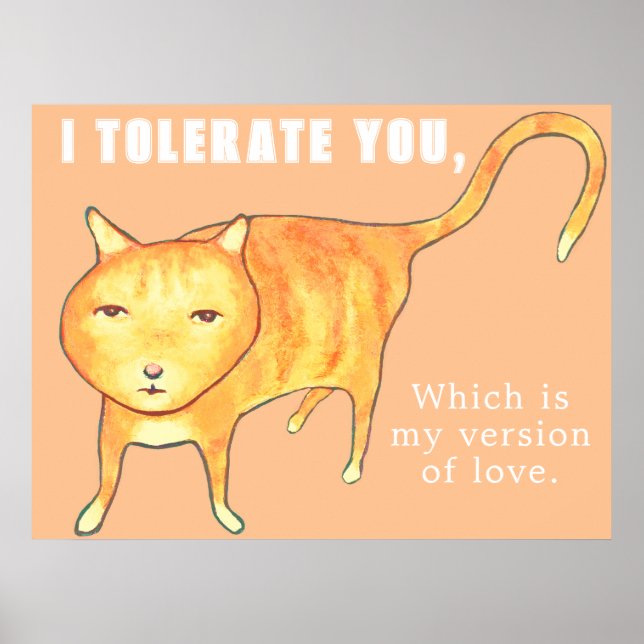 Poster Gato Laranja Apático Tolerante (Frente)