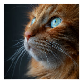 Póster Gato Laranja Tabby Ginger Estilo Vintage Retrato W