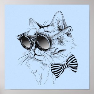 Poster Gato Legal