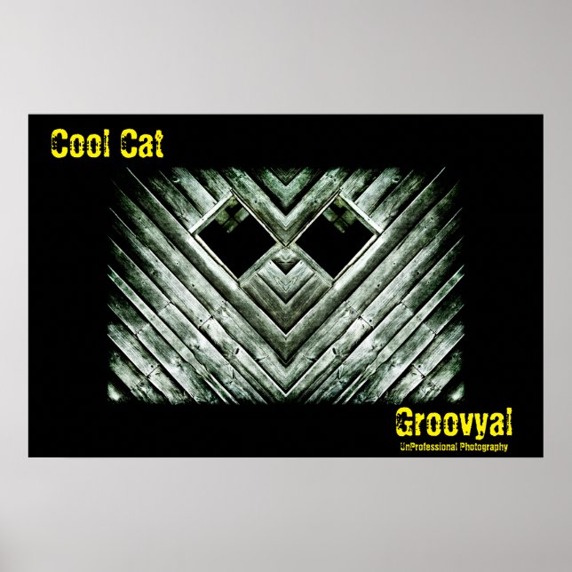 Poster Gato legal (Frente)