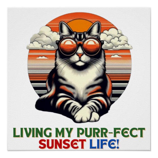 Póster Gato Legal Sunset (Frente)